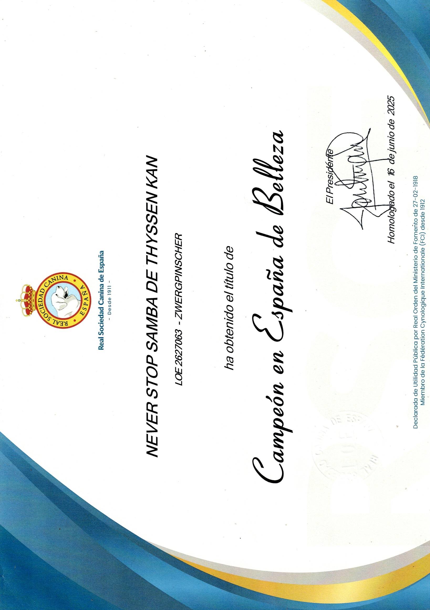 CH ESPAA Samba